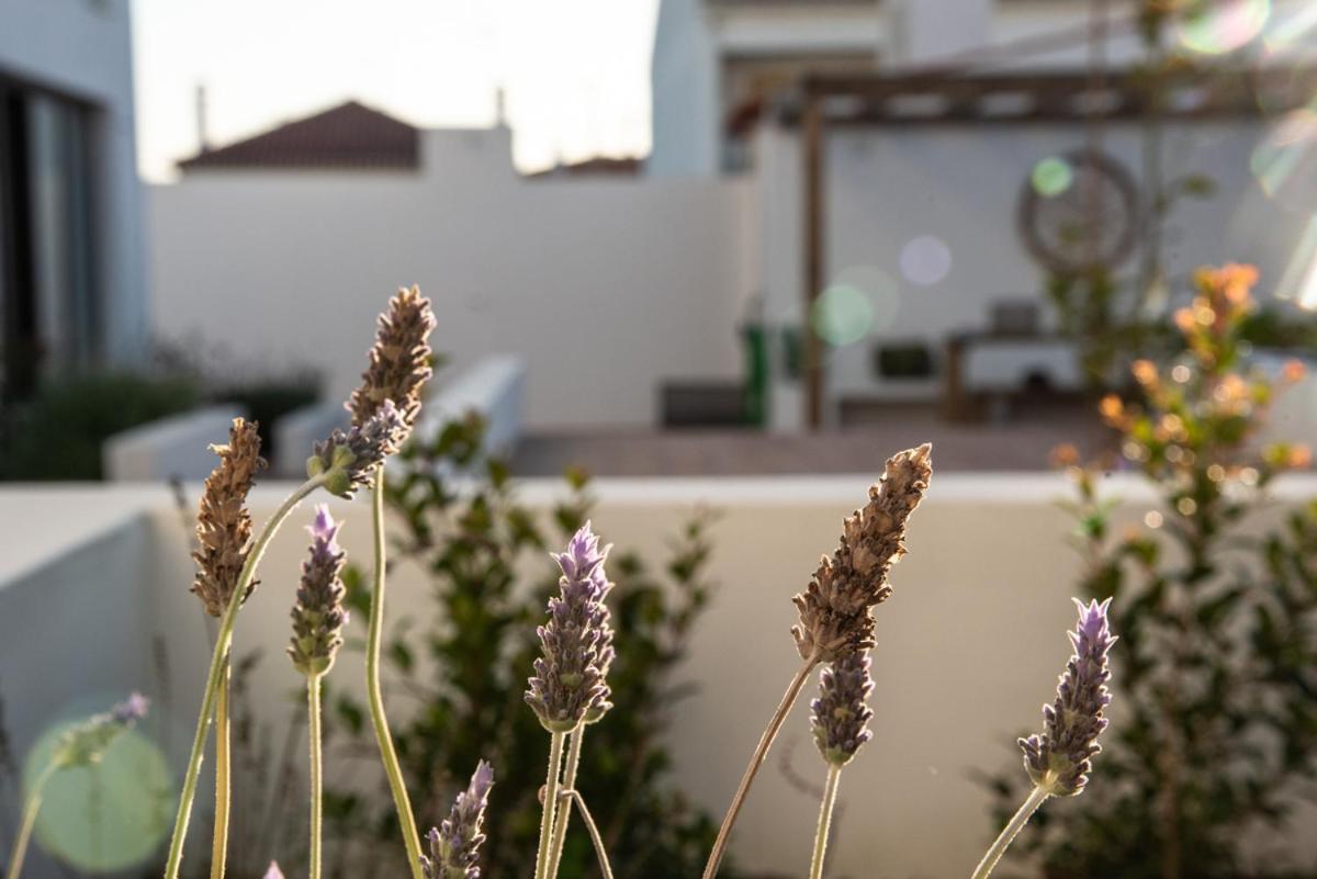 Vida Na Vila วิลานอวา ดิ มิลฟงติส ภายนอก รูปภาพ